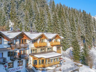 Hotel in Skigebietnähe -Winterparadies Rosenhof