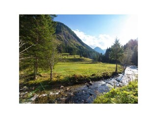 endlich natur pur