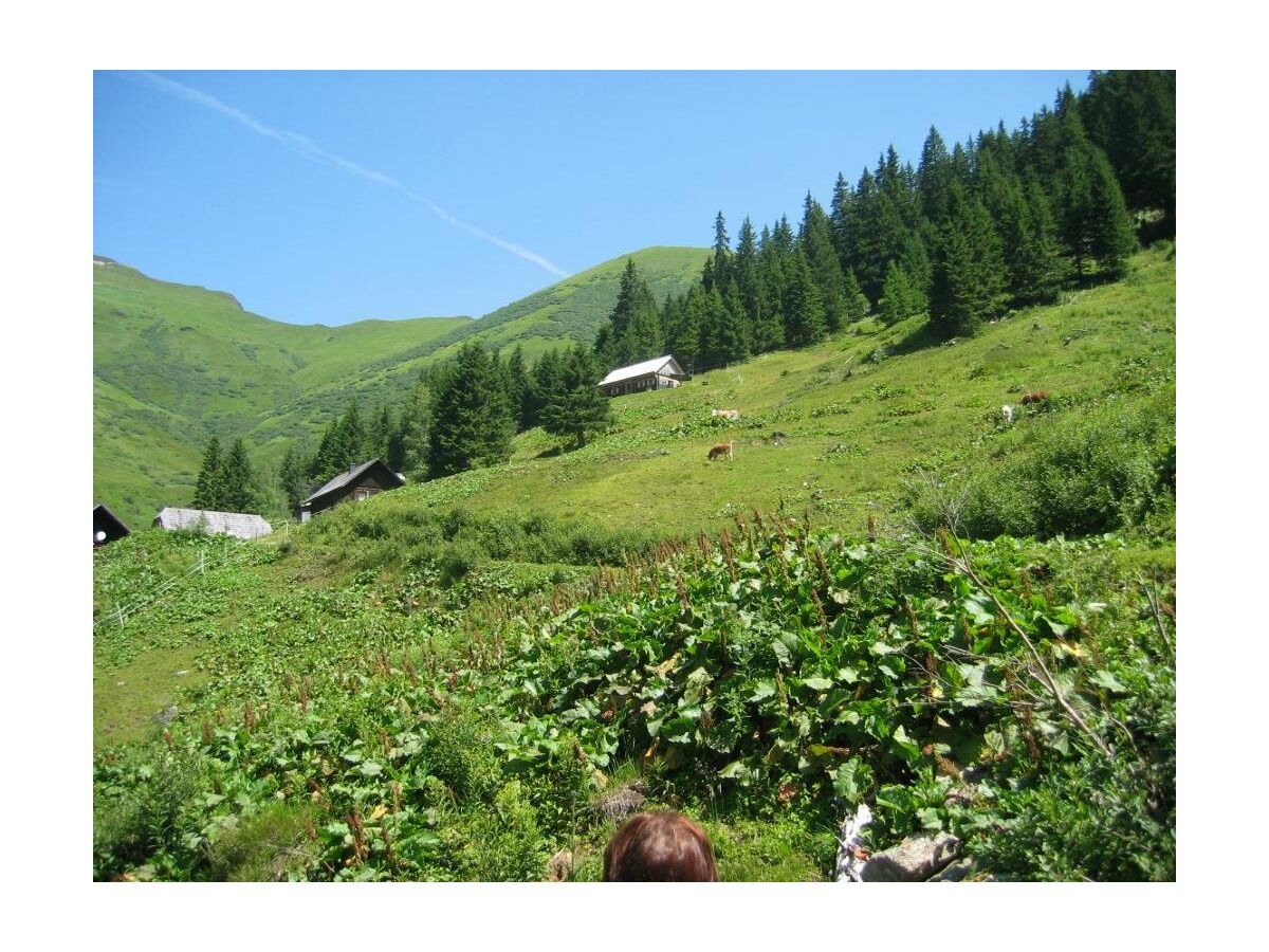 Pleschnitzzinken-Haus-Lerchegger-Naturpark-Sölktäl