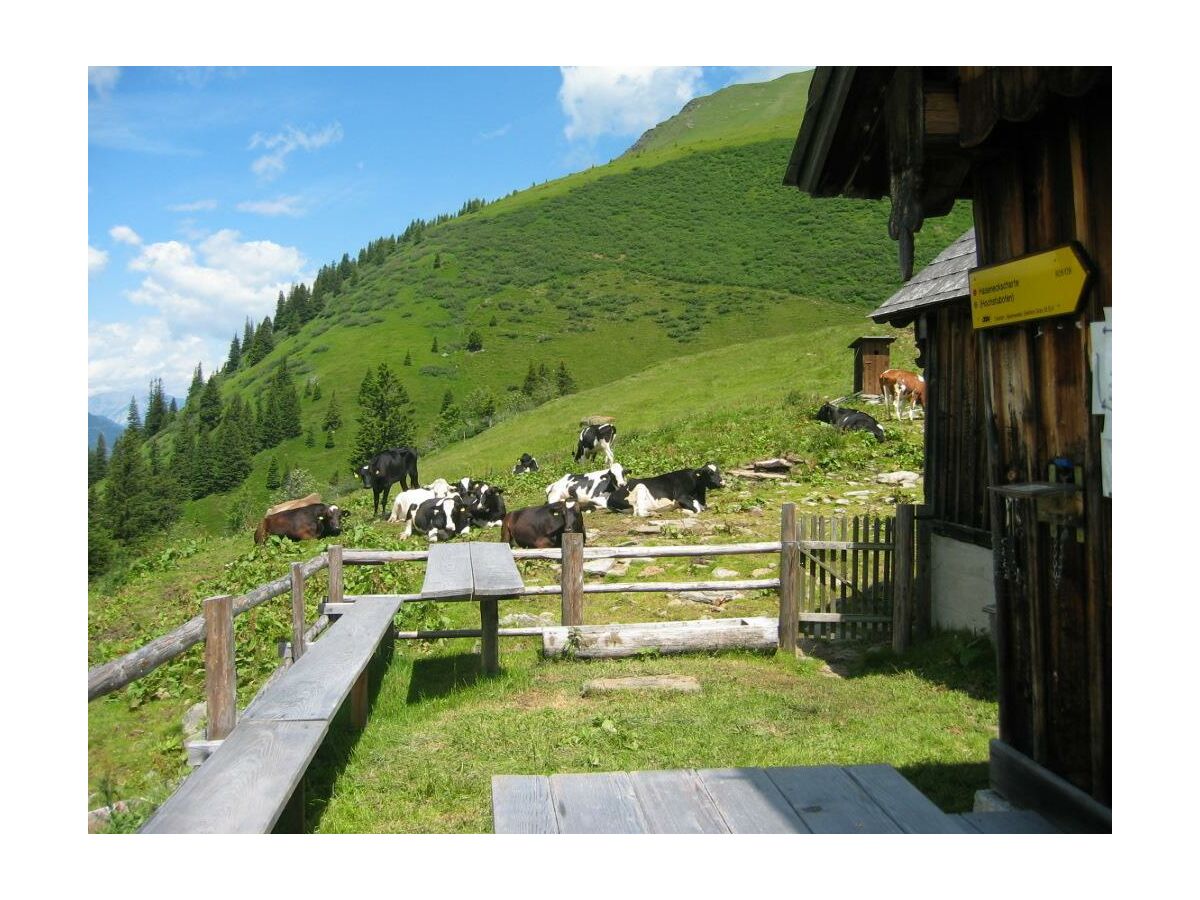 Wanderungen-Haus-Lerchegger-Naturpark-Sölktäler-Sc