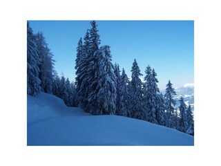 Herrliche Winterlandschaft