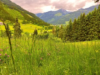 IMG_2847