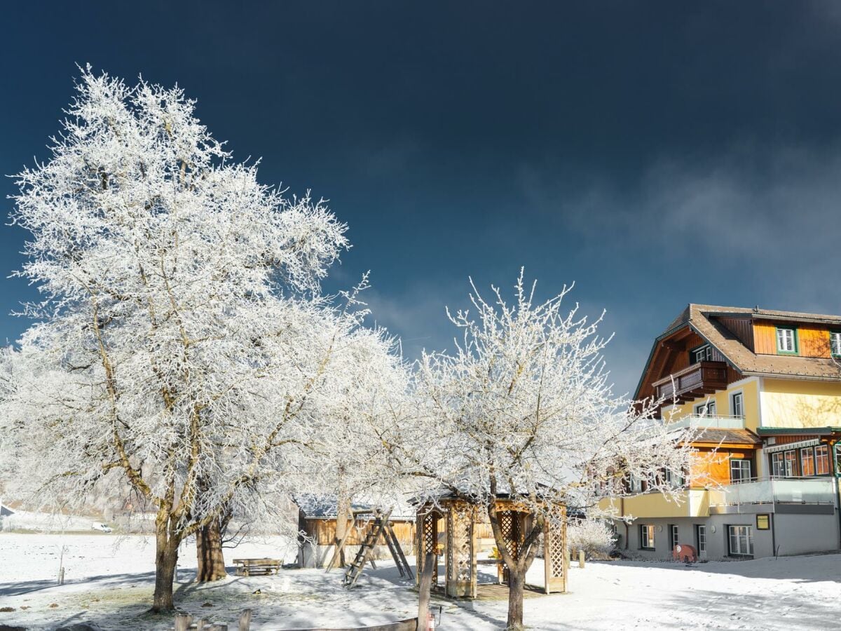 Glitschnerhof Obstgarten