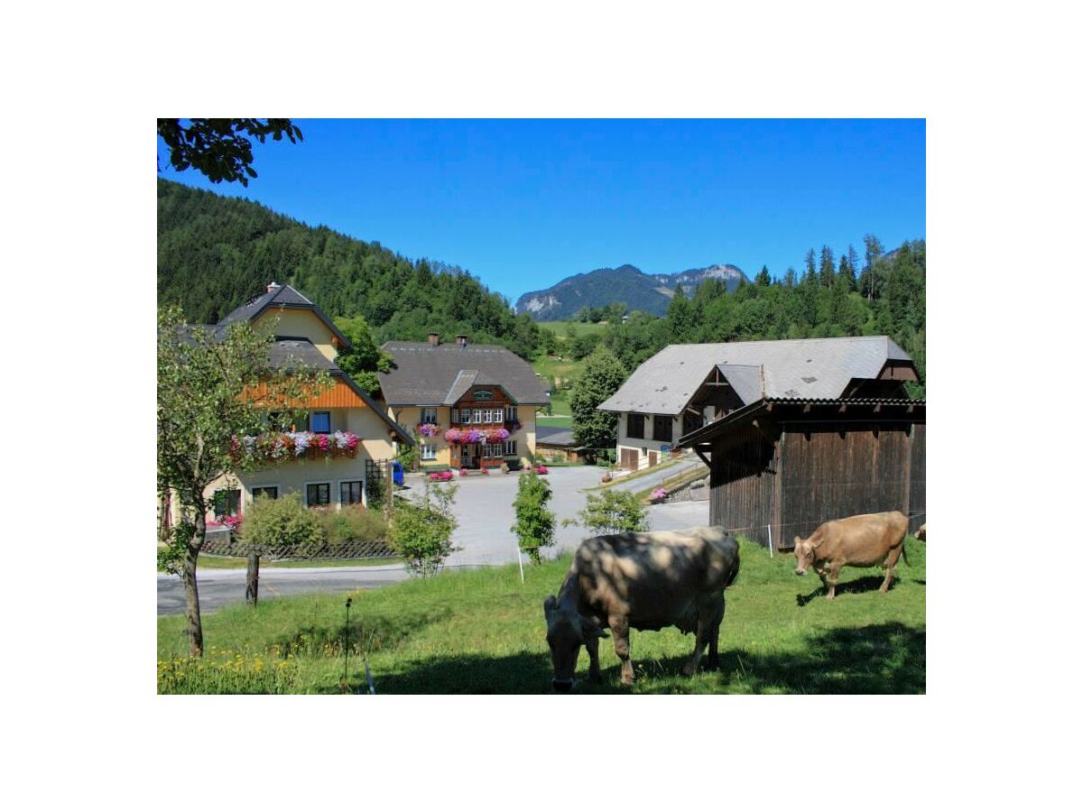 Echtes Landleben genießen - Urlaub am Bauernhof