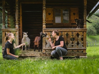 Am Glitschnerhof gibt es viele Streicheltiere