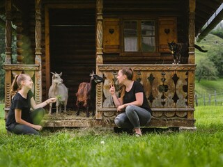 Am Glitschnerhof gibt es viele Streicheltiere