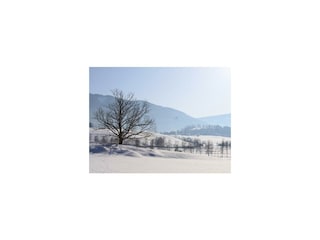 Winterlandschaft rund um den Glitschnerhof