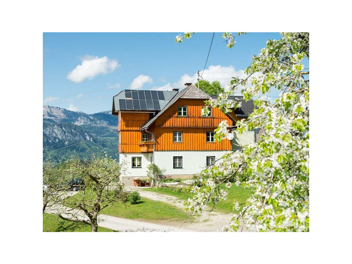 Bauernhaus im Sommer