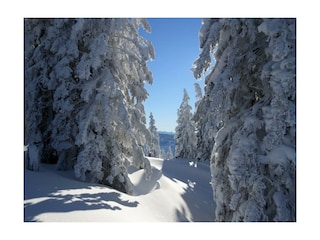 Winterlandschaft