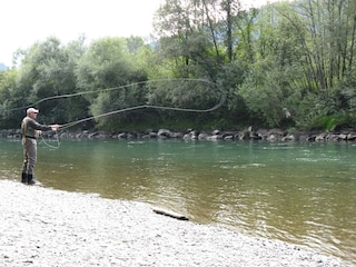 Revier Enns 010