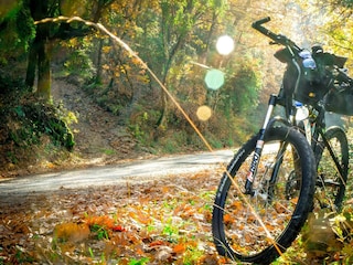cycling-2846201