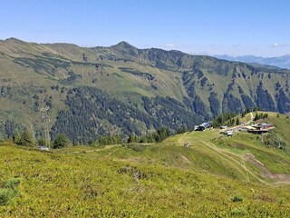 Blick zum Hochsitz