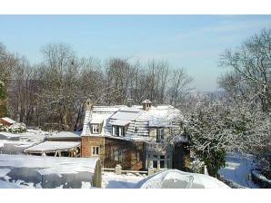 Villa aus Naturstein für 7 Personen in Hagen - Hagen - image1