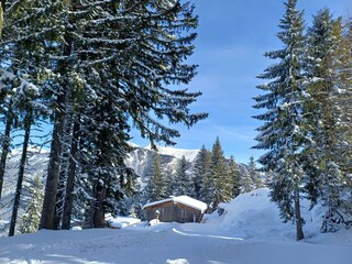 20241207_115108[1]