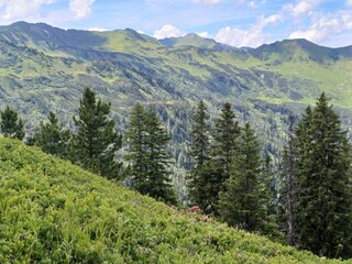 Ausblick von der Riesneralm