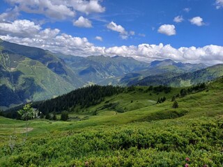 Blick über das Tal von der Riesneralm