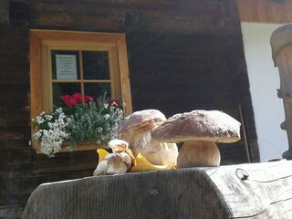 Apartment Irdning Outdoor Recording 11