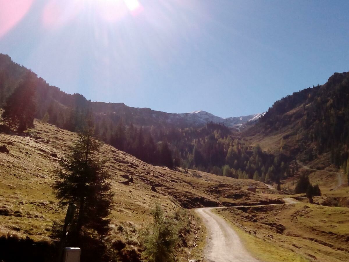 Goldener Herbst auf der Alm