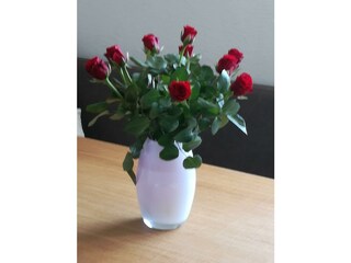 Rote Rosen