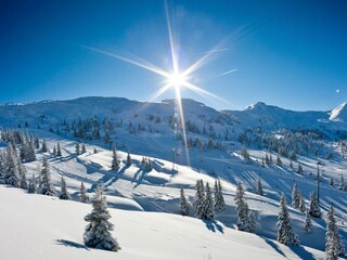 Winterpanorama-_KS_3993-1691875344-O
