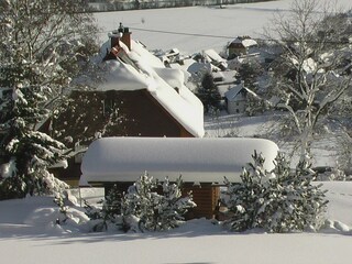 Winterimpression vom Garten