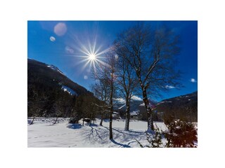 Blick aus der Küche