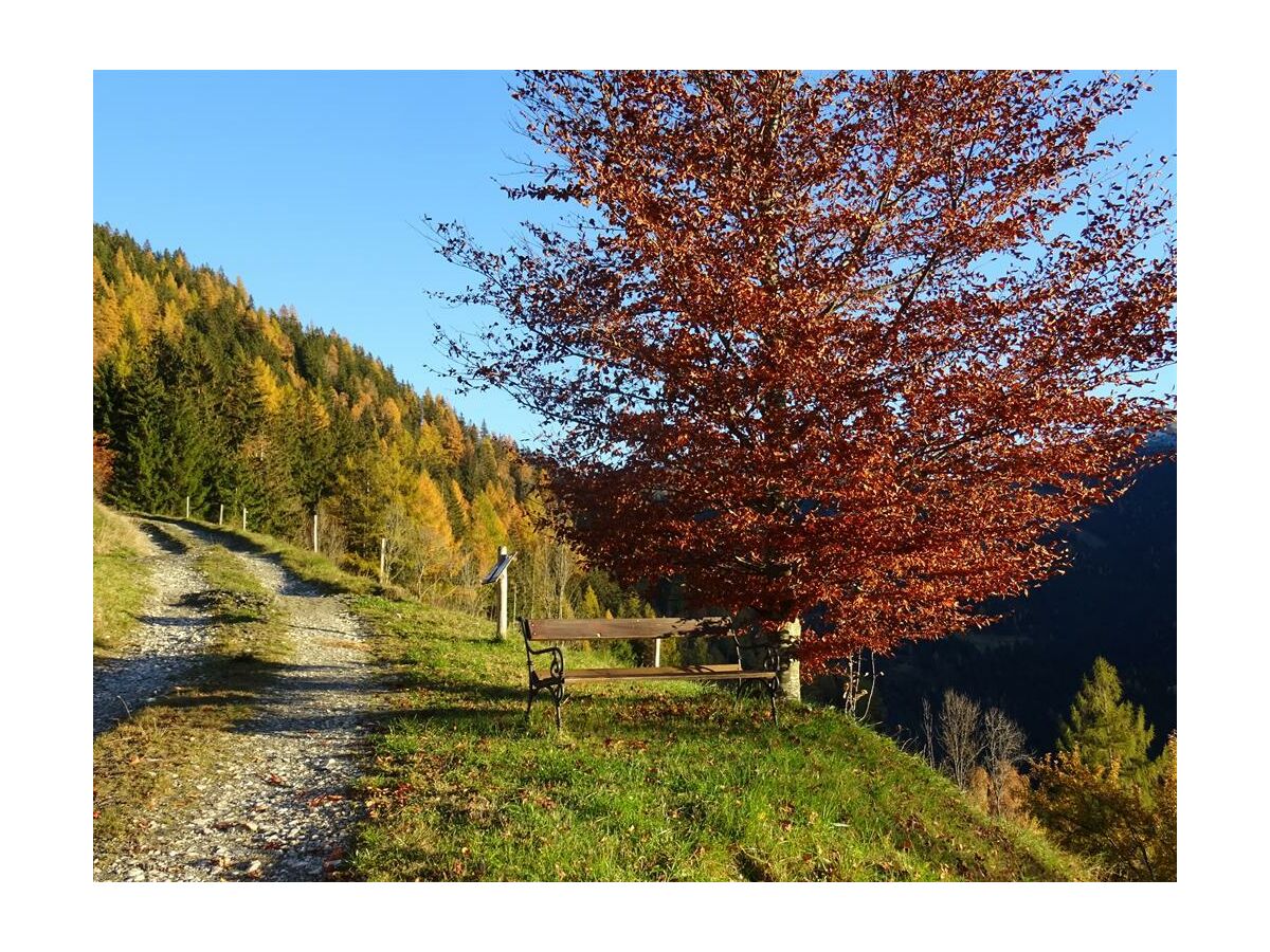 Einfach die Natur genießen