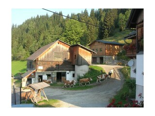 Am Hof