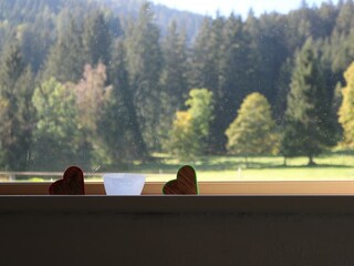 Grüne Aussichten vom Stiegenhaus