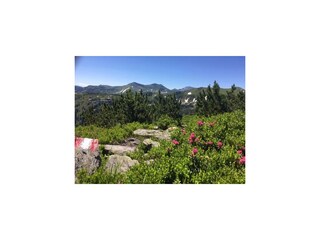 Herrliche Wanderwege