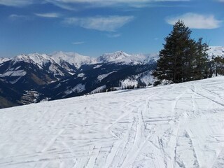 Riesner Alm