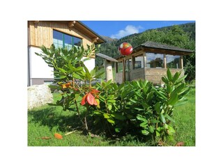Sommer Garten1