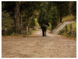 Bin am Weg