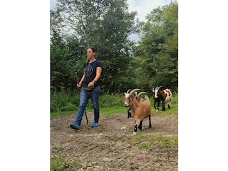 Ziegenwanderung