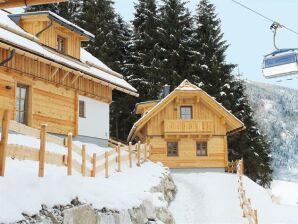 Apartment Chalet " Alpenkräuter" - St. Nikolai im Sölktal - image1