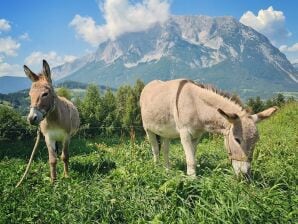 Ferienzimmer Familienzimmer Siebenschläfer ohne Verpflegung - Irdning - image1