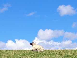 Casa per le vacanze Ditzum Registrazione all'aperto 3