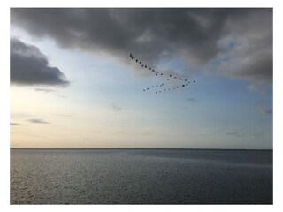 Casa de vacaciones Ditzum Entorno 34