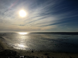 Holiday house Ditzum Environment 31