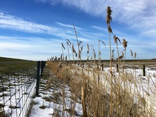 Vakantiehuis Ditzum Omgeving 37