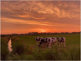 Casa de vacaciones Ditzum Entorno 37