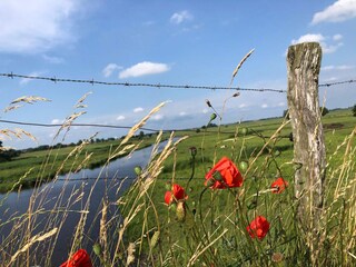 Maison de vacances Ditzum Environnement 36