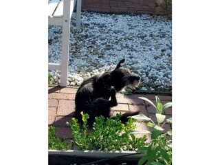 Casa per le vacanze Ditzum Registrazione all'aperto 4