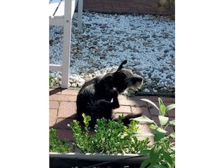 Holiday house Ditzum Outdoor Recording 5