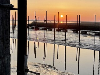 Vakantiehuis Ditzum Buitenaudio-opname 8