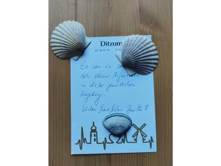 Vakantiehuis Ditzum Buitenaudio-opname 12