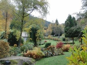 Holiday house Le Sine Nomine - Klingenthal (Bas-Rhin) - image1