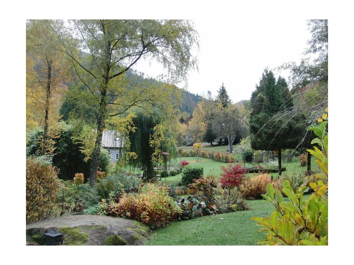 Casa de vacaciones Klingenthal (Bas-Rhin) Grabación al aire libre 1