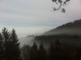 Casa per le vacanze Klingenthal (Bas-Rhin) Ambiente 20