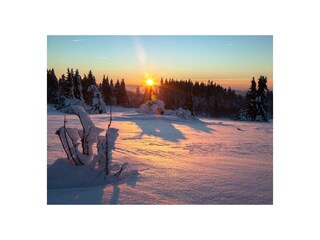 Casa per le vacanze Klingenthal (Bas-Rhin) Ambiente 22